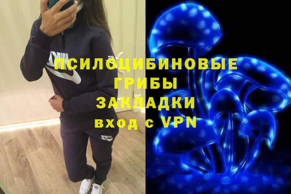 индика Белоозёрский